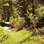 Le Moulin D'olt מלון